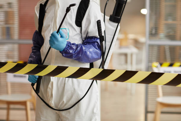 Professional Infectious Disease Decontamination technician working in Suches, GA